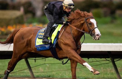 entries at oaklawn park|oaklawn park races today.